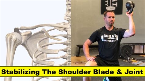 squat university|squat university shoulder impingement.